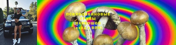 прущий лед Вяземский